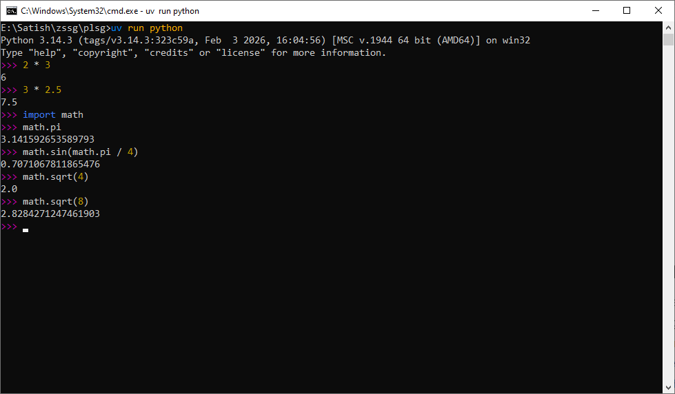 Python REPL